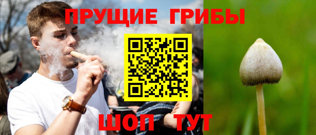 Псилоцибиновые грибы ЛСД  Вход с VPN  купить наркотики цена  Ейск 